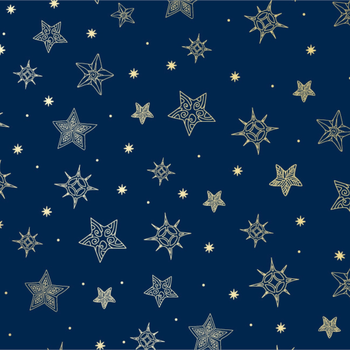 Matariki Stars Albany 