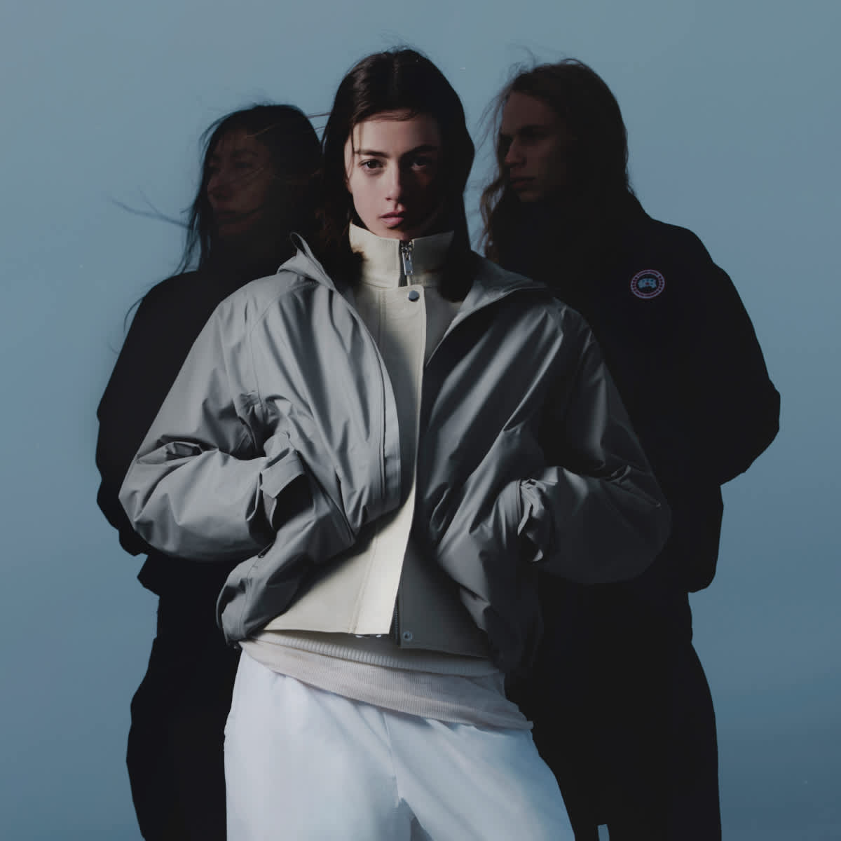 Canada goose