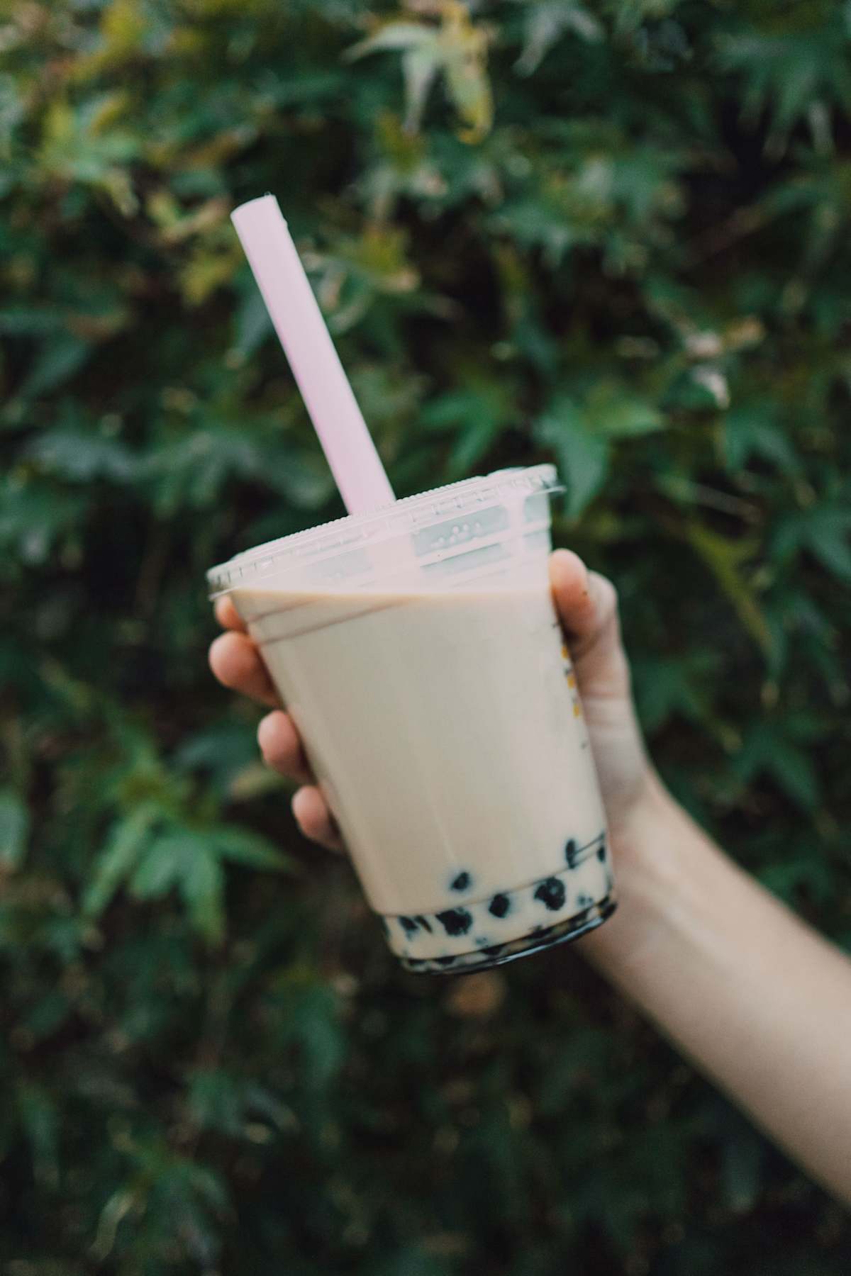 Bubble Tea Stock Image