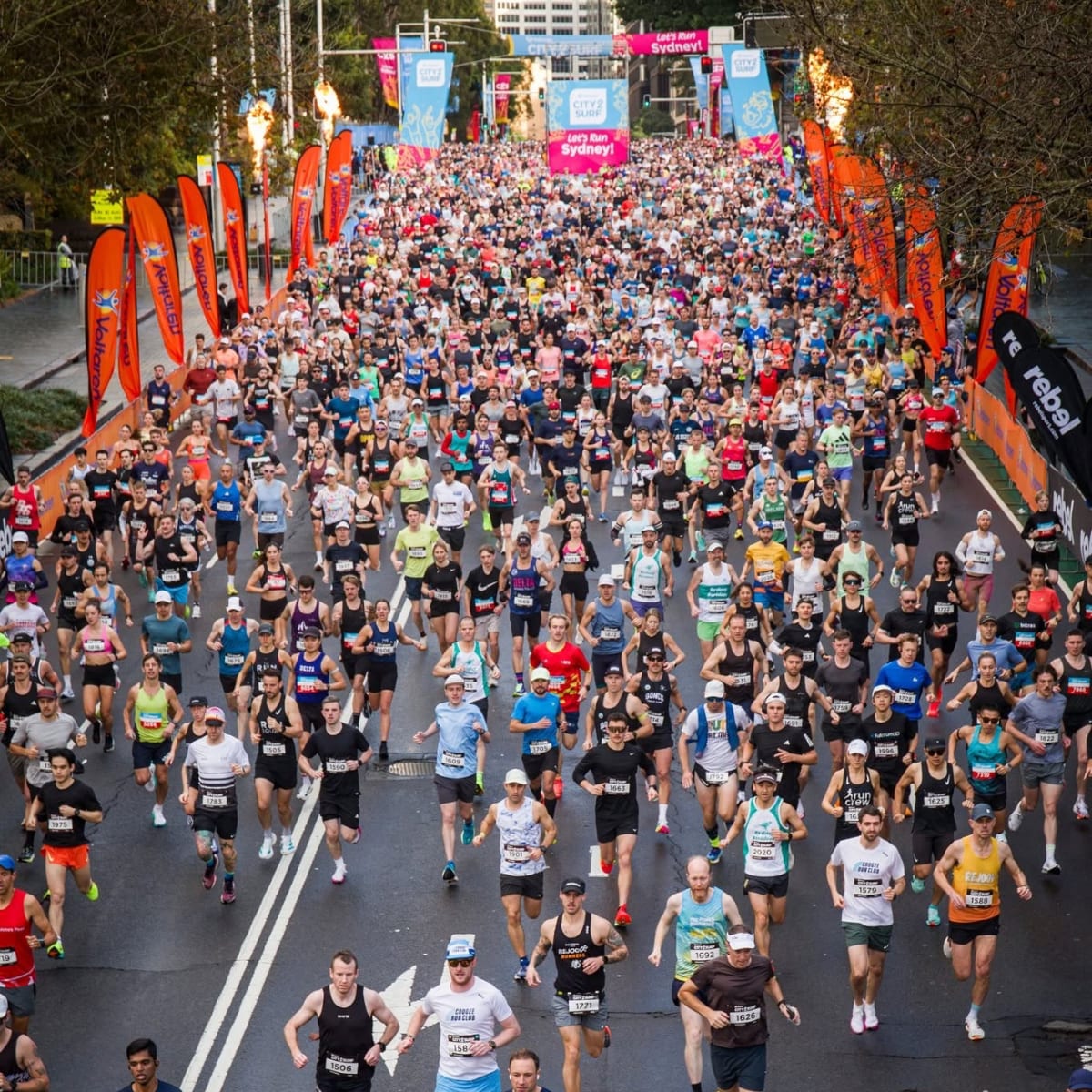 city 2 surf - bondi