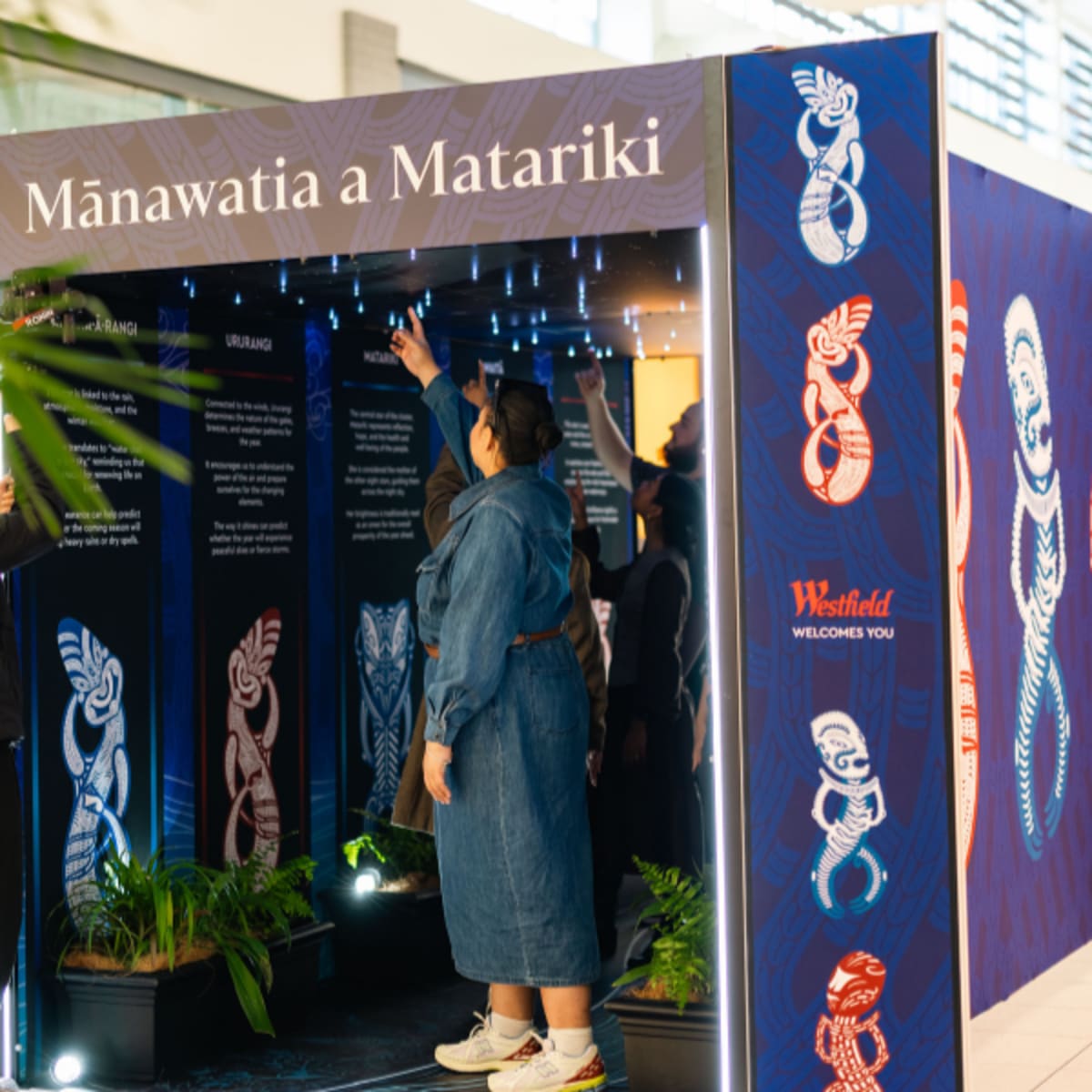 Albany Matariki July 2026