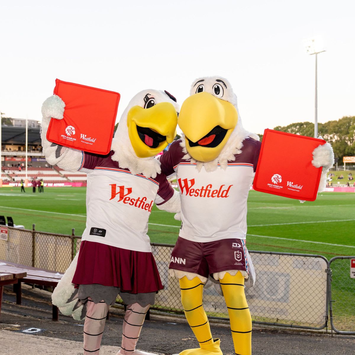 Home game imagery