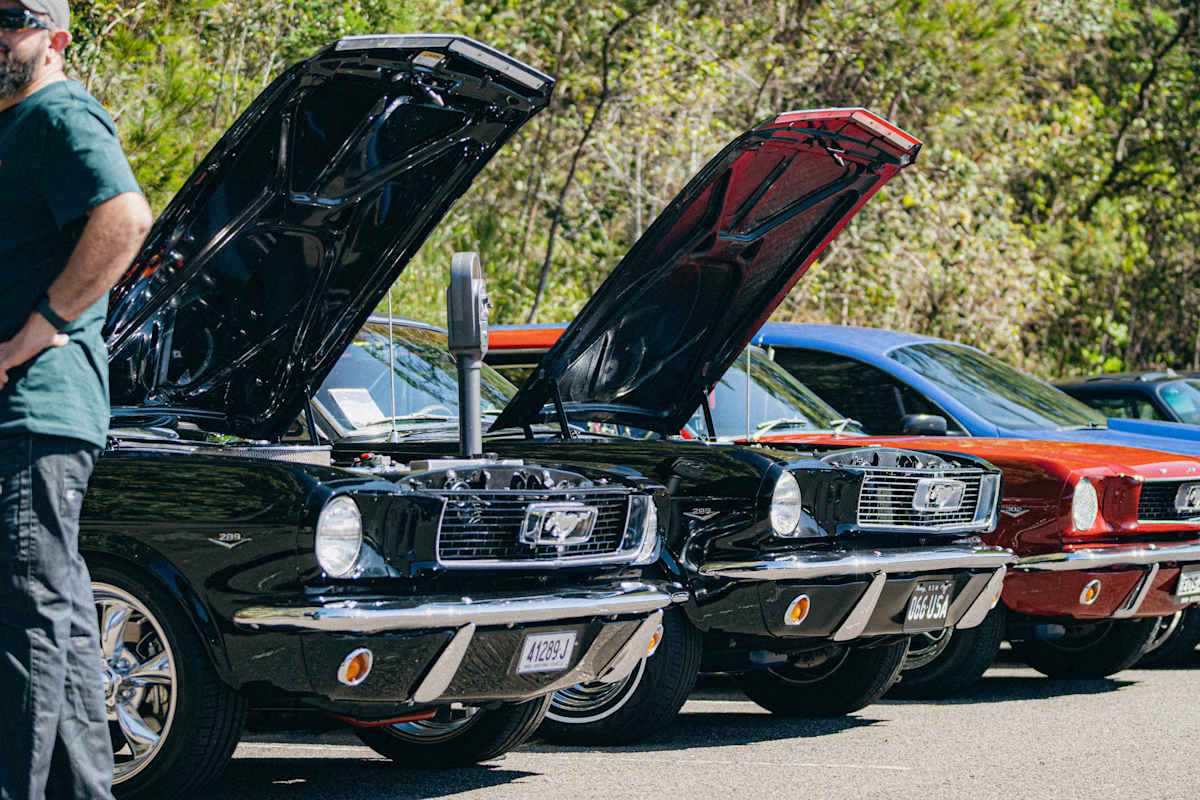 Father's Day Car Show Hornsby 2026 Hero Image