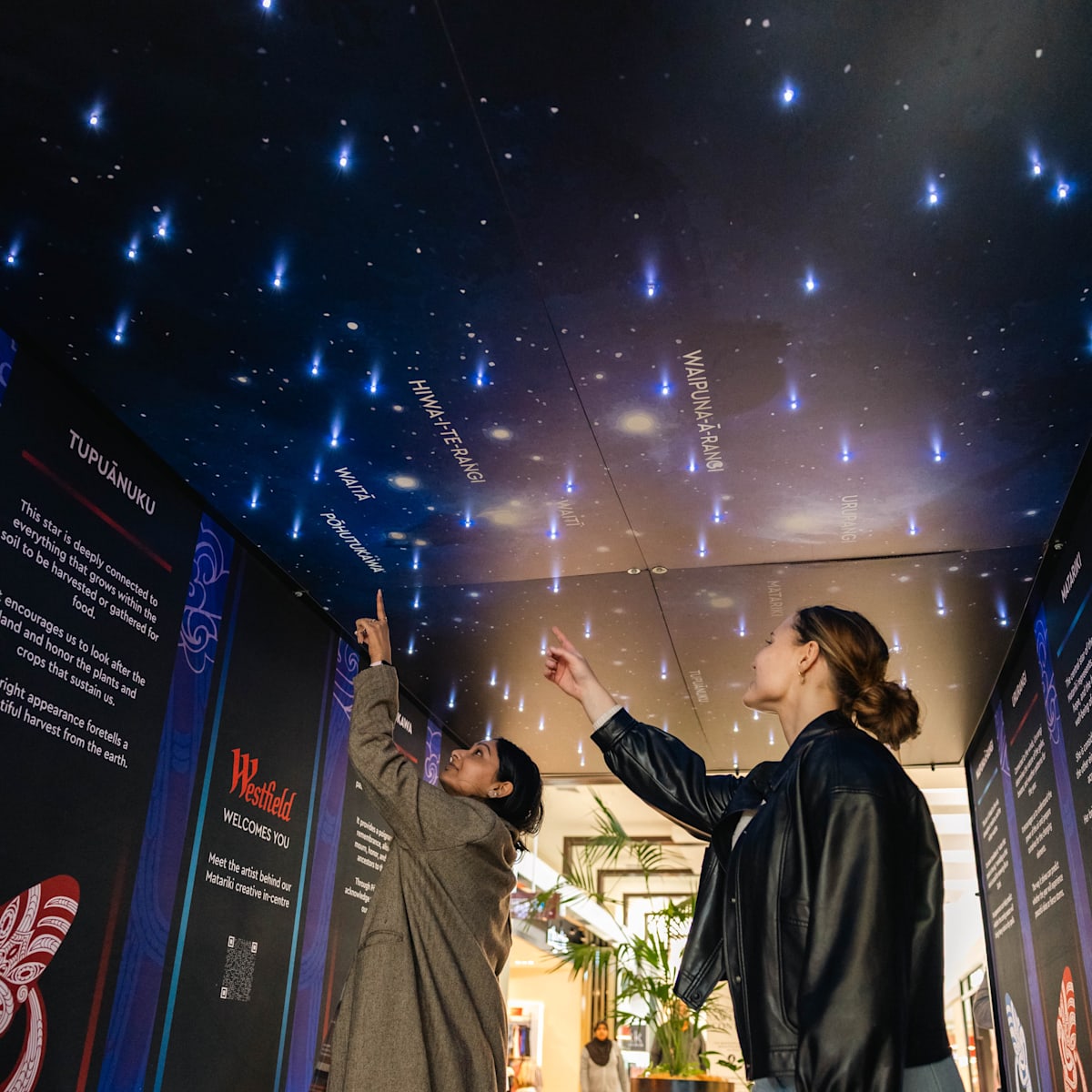 Manukau Matariki Star Tunnel 2026