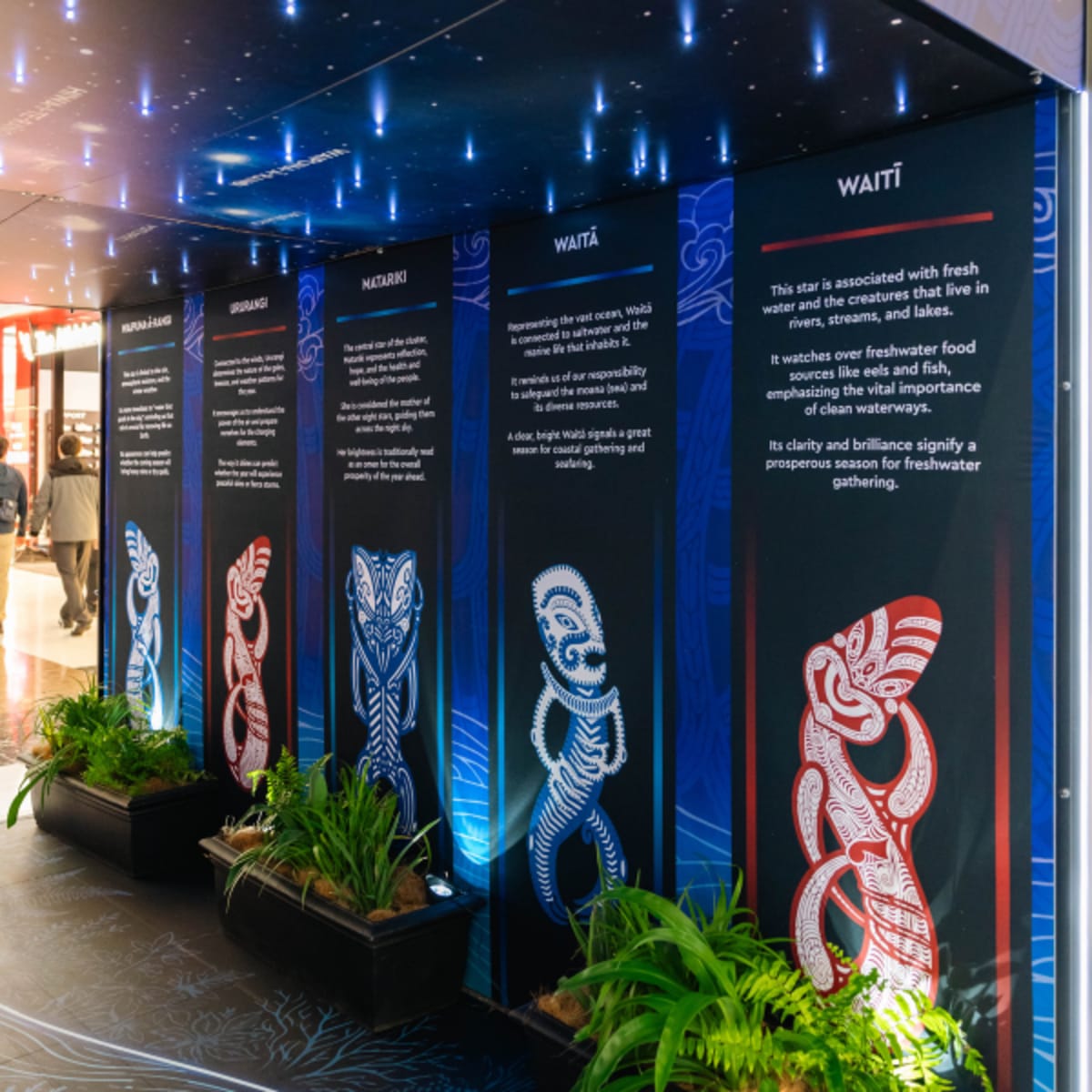 Matariki Star Walk July 2026