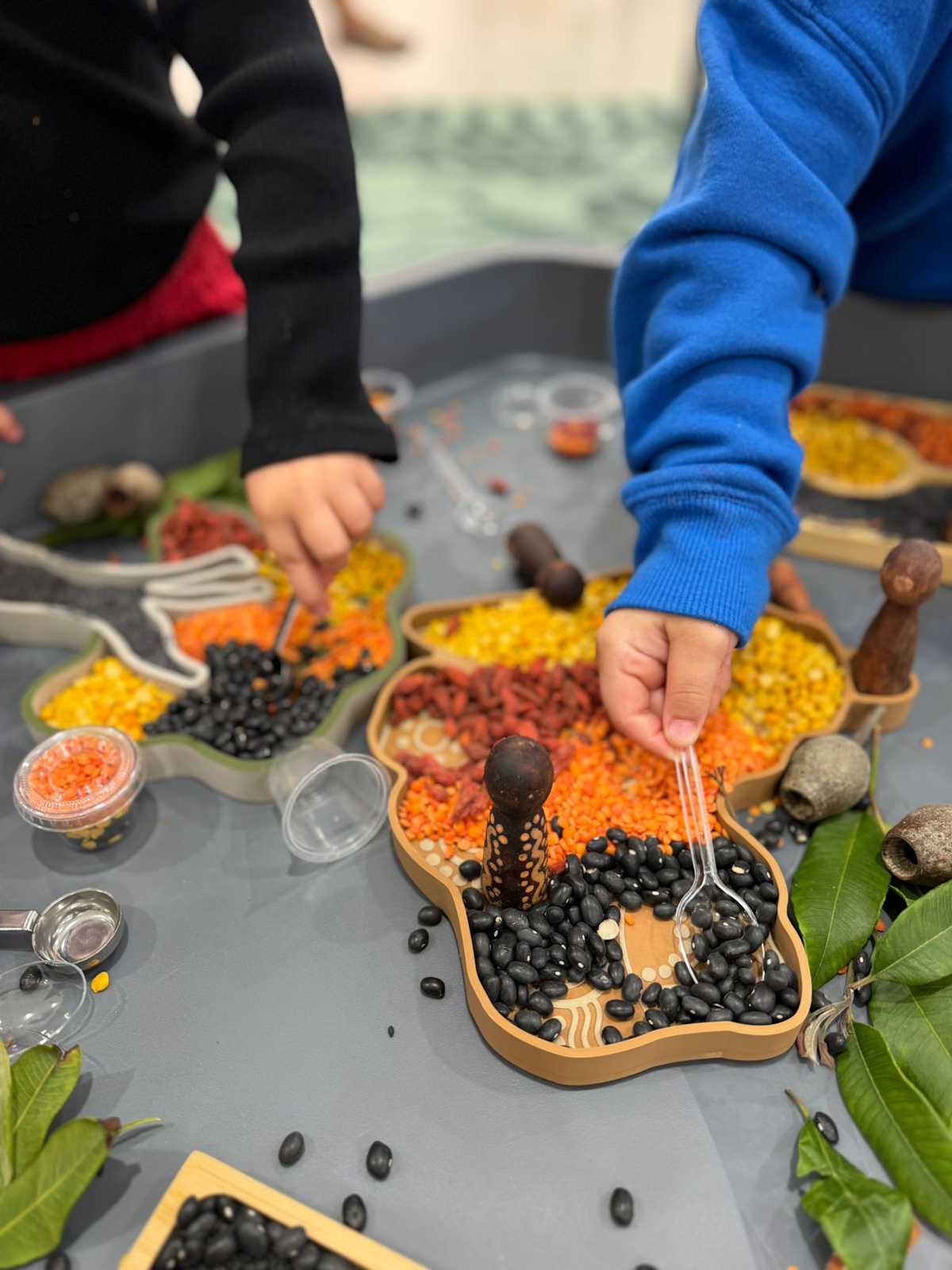 Barang Regional Alliance Sensory NAIDOC Tuggerah