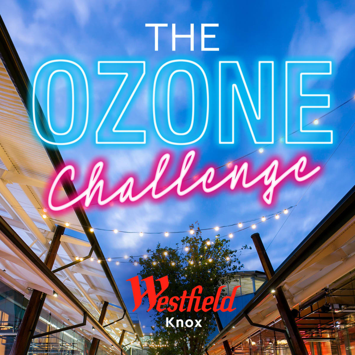 Knox Ozone Challenge