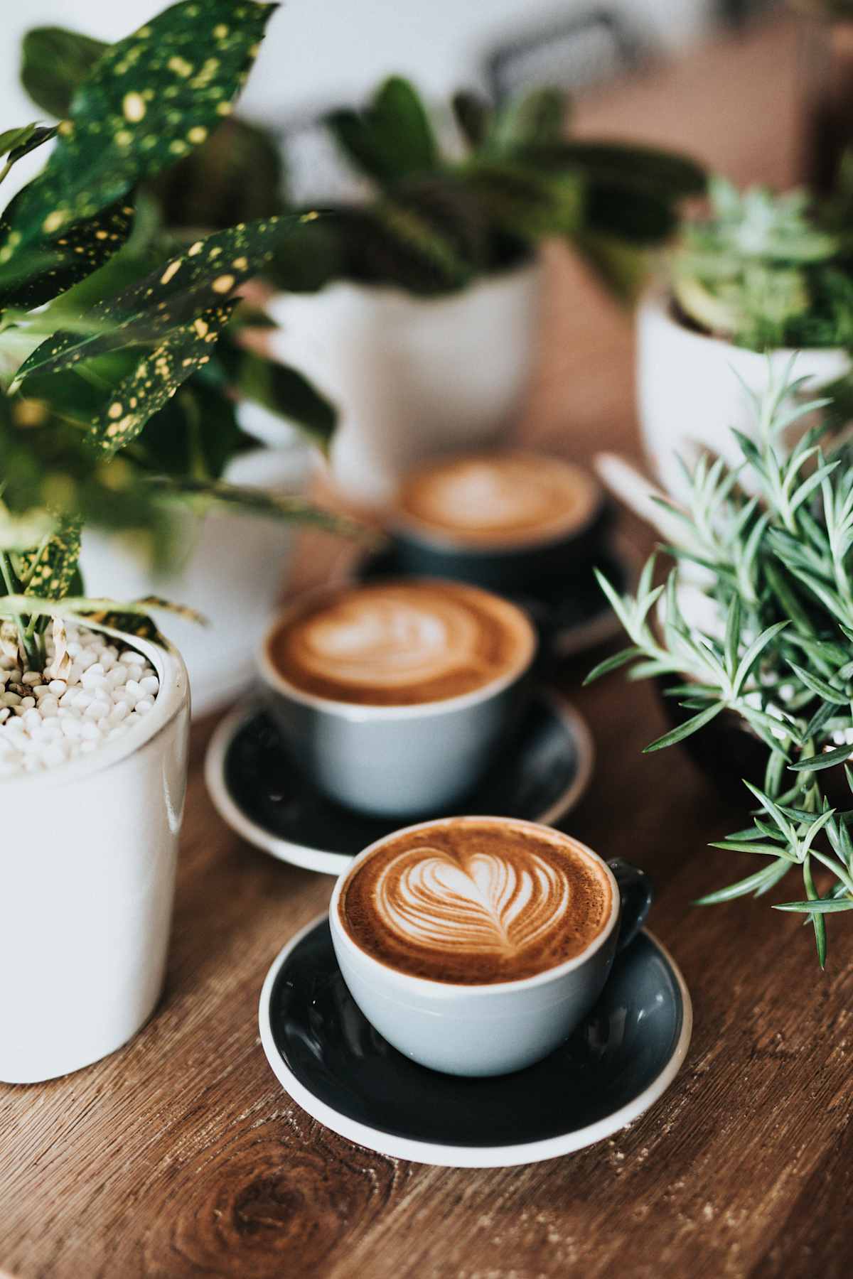 Cafe Otto - Knox - Hero Image Set
