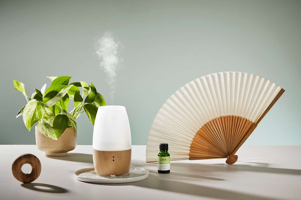 Wood diffuser, vine plant and some essential oils  