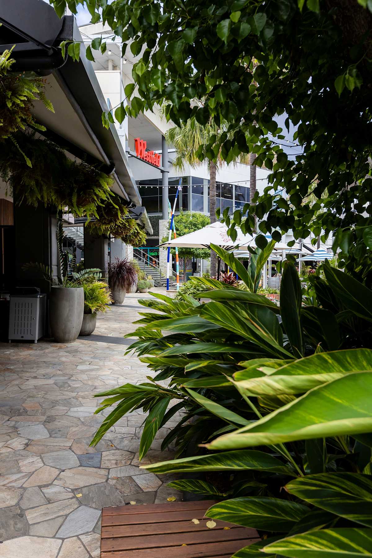 Tuggerah westfield ELP signage showing greenery in foreground