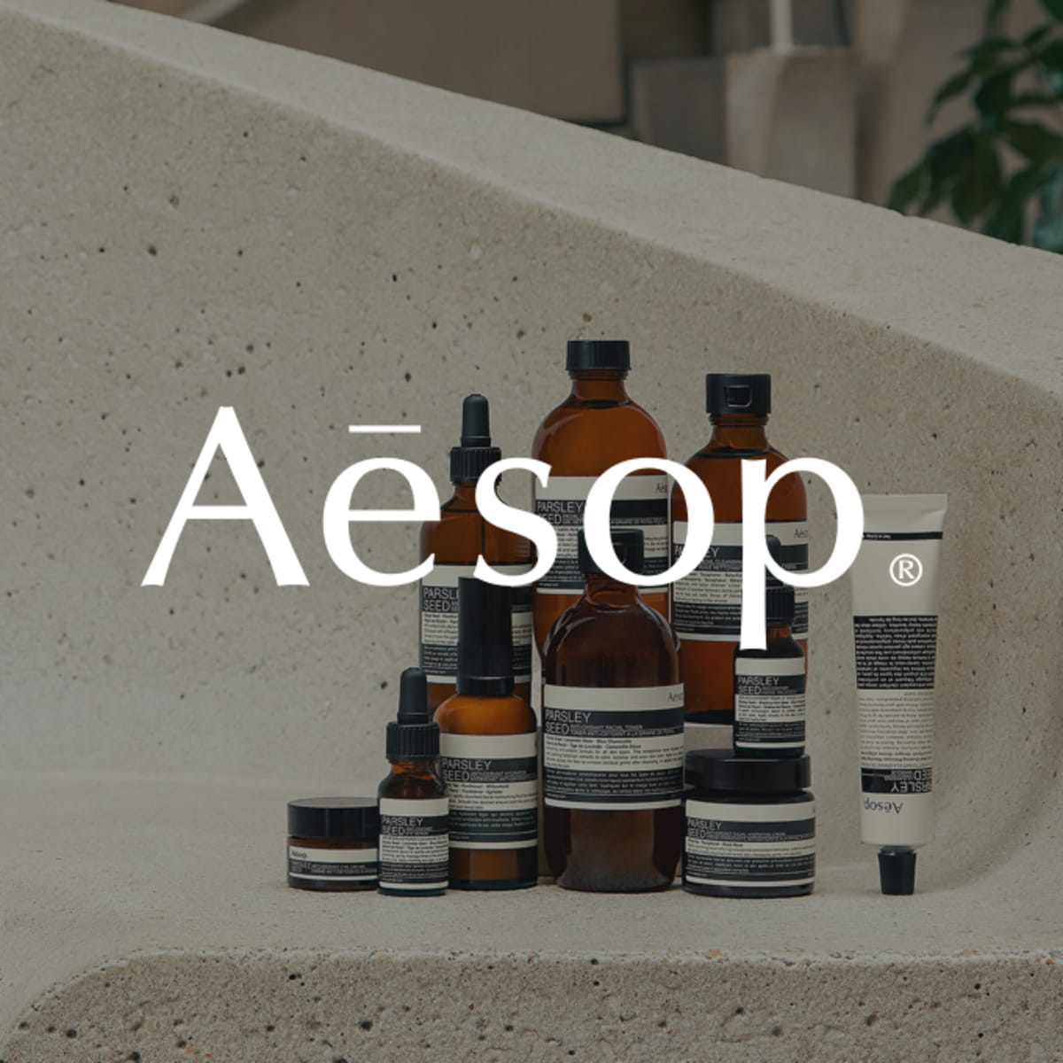 Aesop