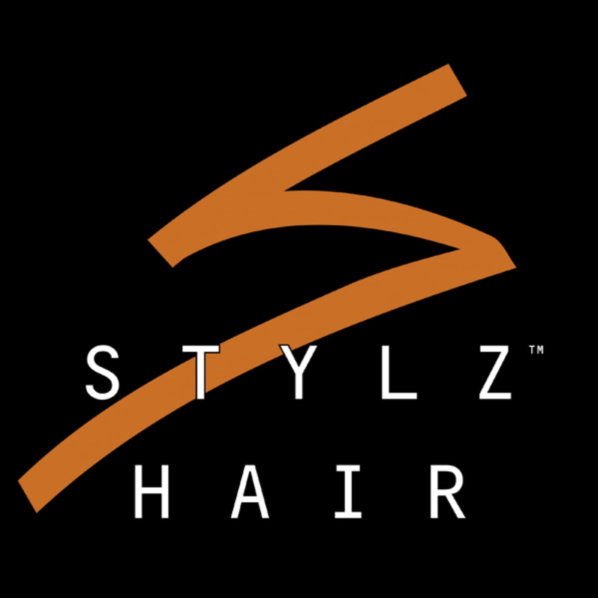 Retailer stylz colour logo image