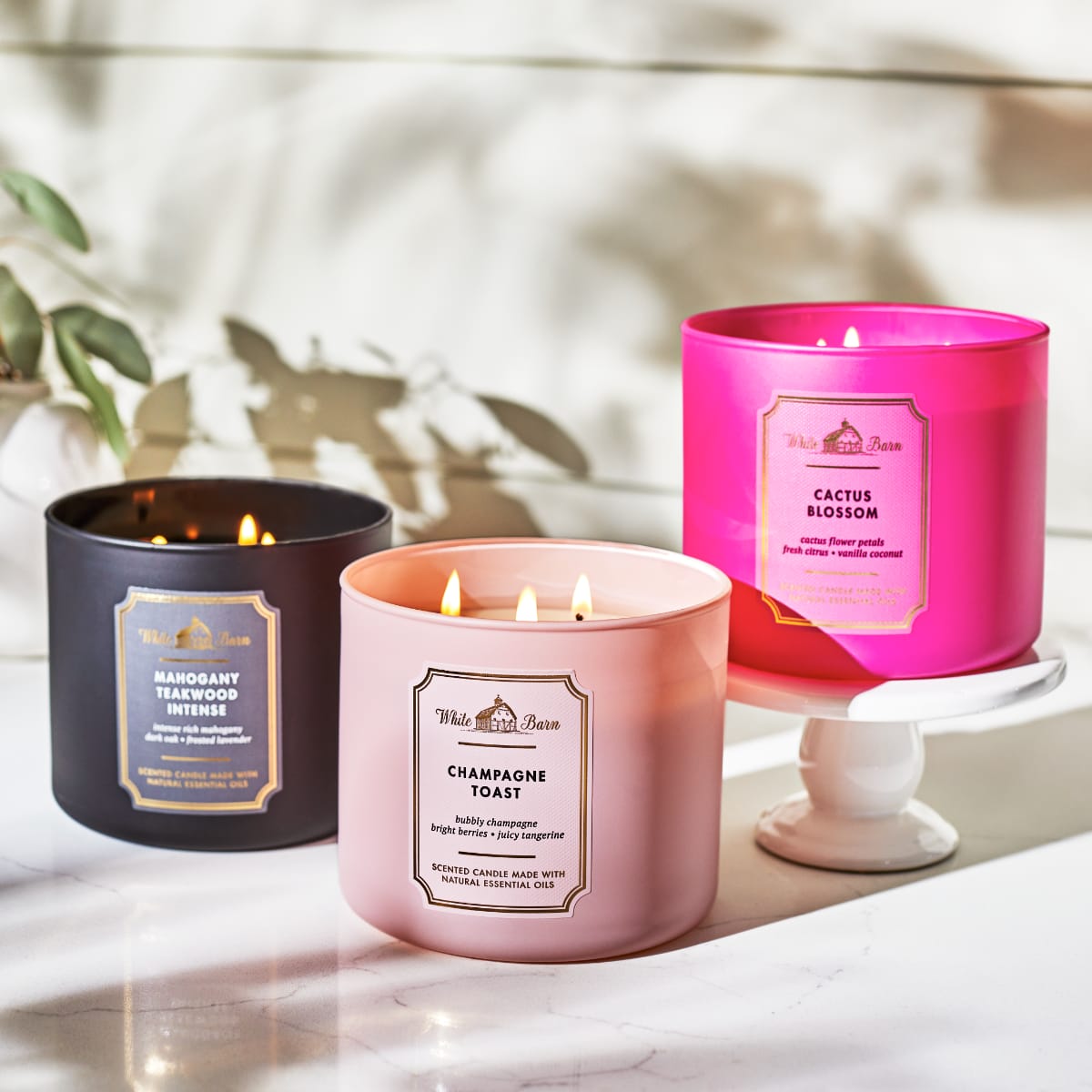 Bath & Body Works hero image