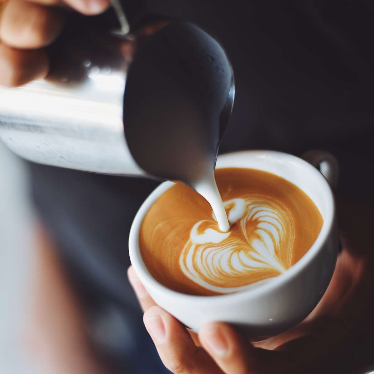 Airport West Coffee Co. - Hero Image Set