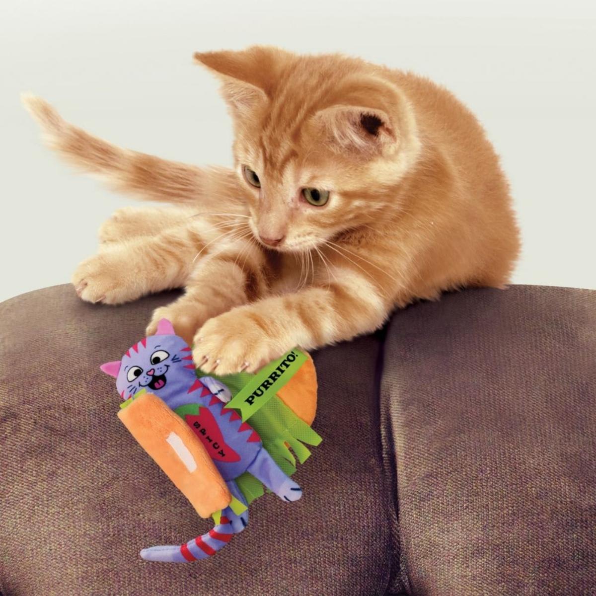 Pawlux hero image 