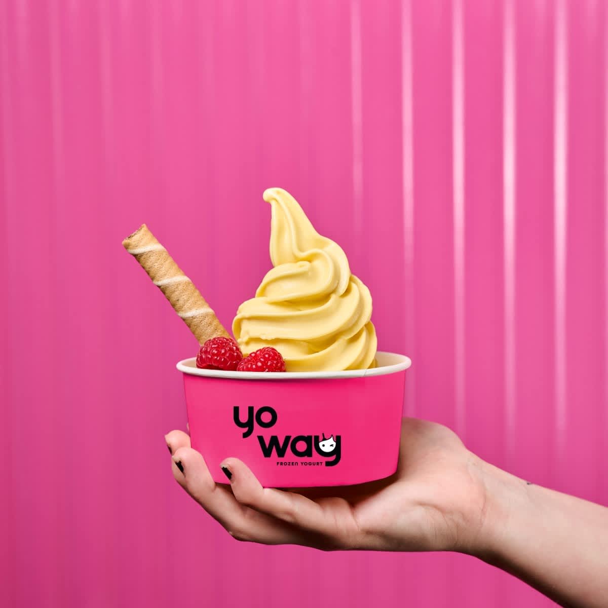 Yo Way Frozen Yoghurt  storefront image