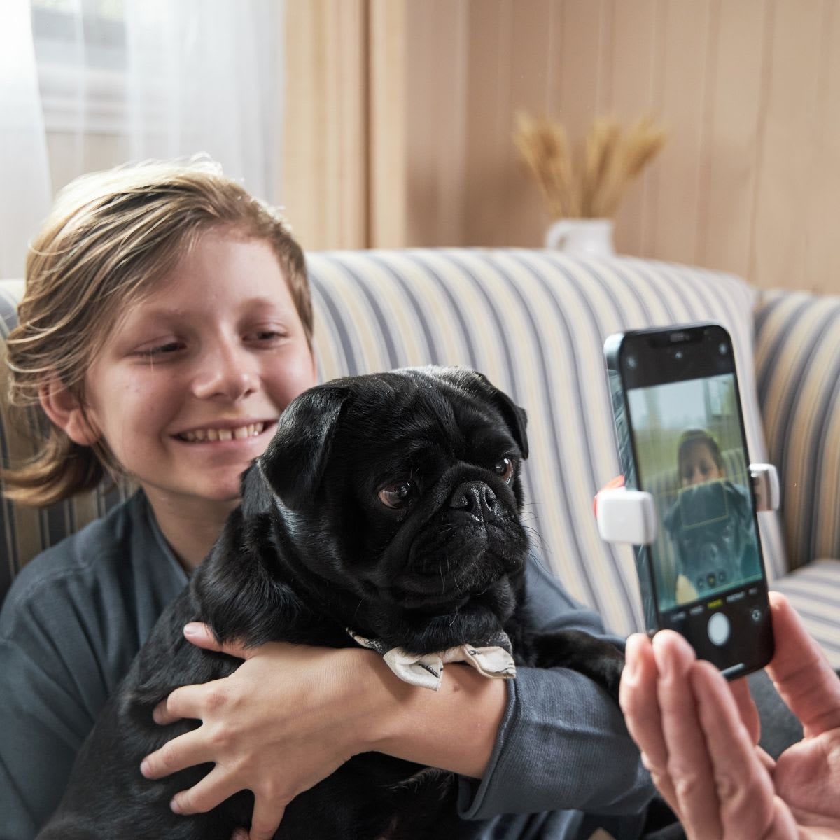 The Pet Focus