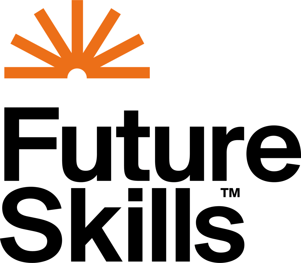 Future Skills Academy