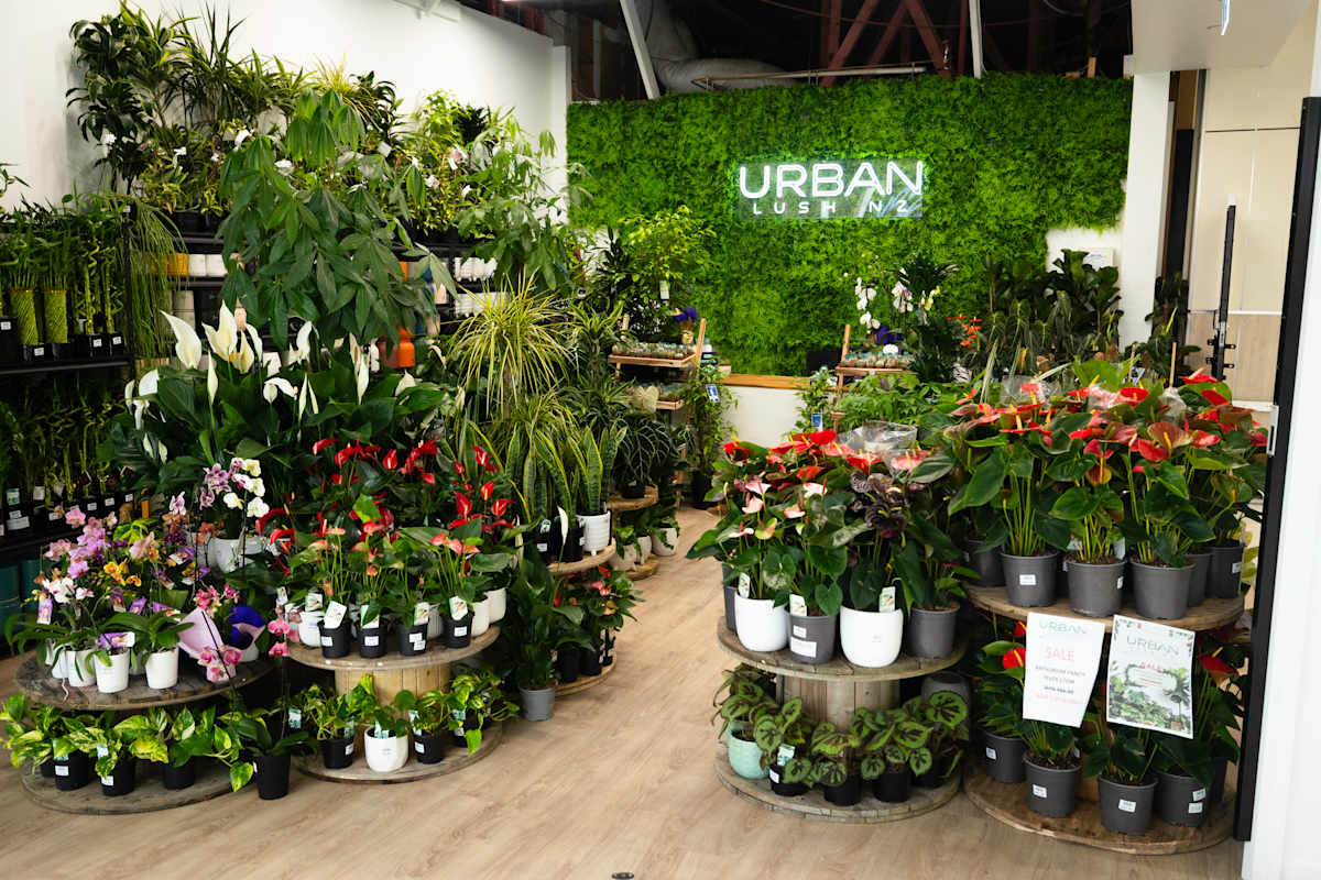 Urban Lush  storefront image