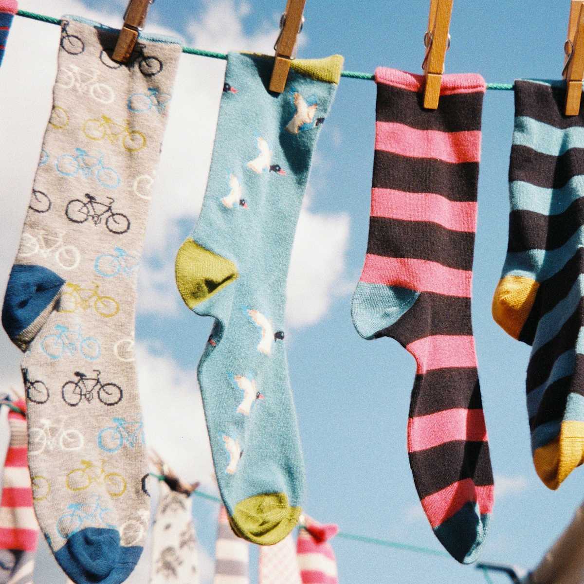 Anything_Else_Socks_Hero_Image_2023