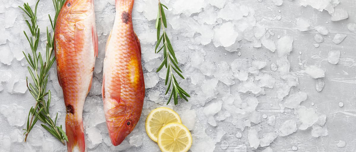 Fresh Fish