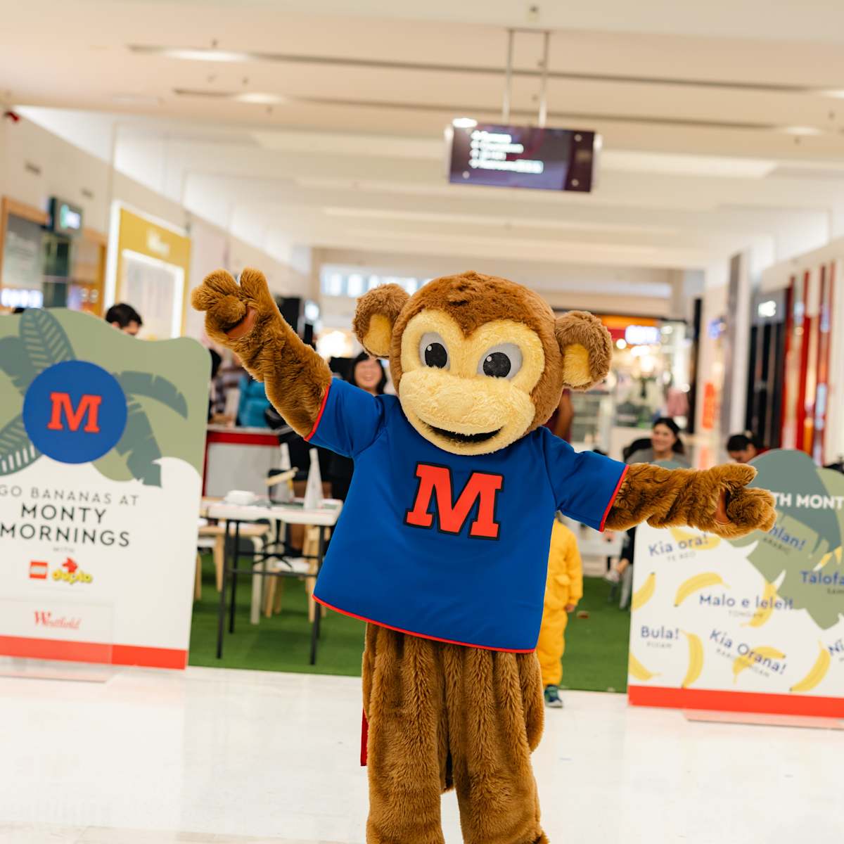Monty Morning - Manukau - Hero Image 2025