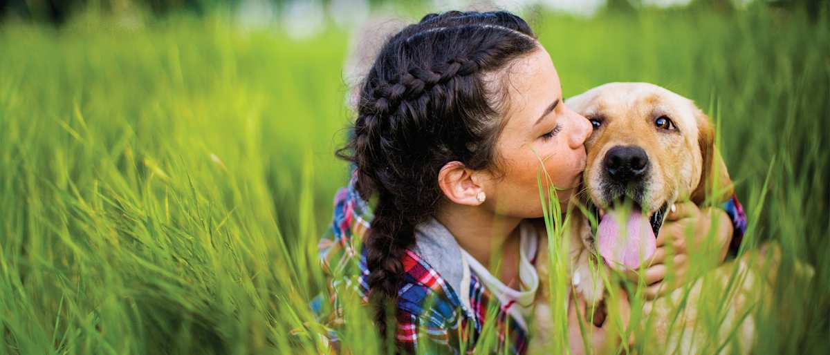 Retailer Petstock hero image set