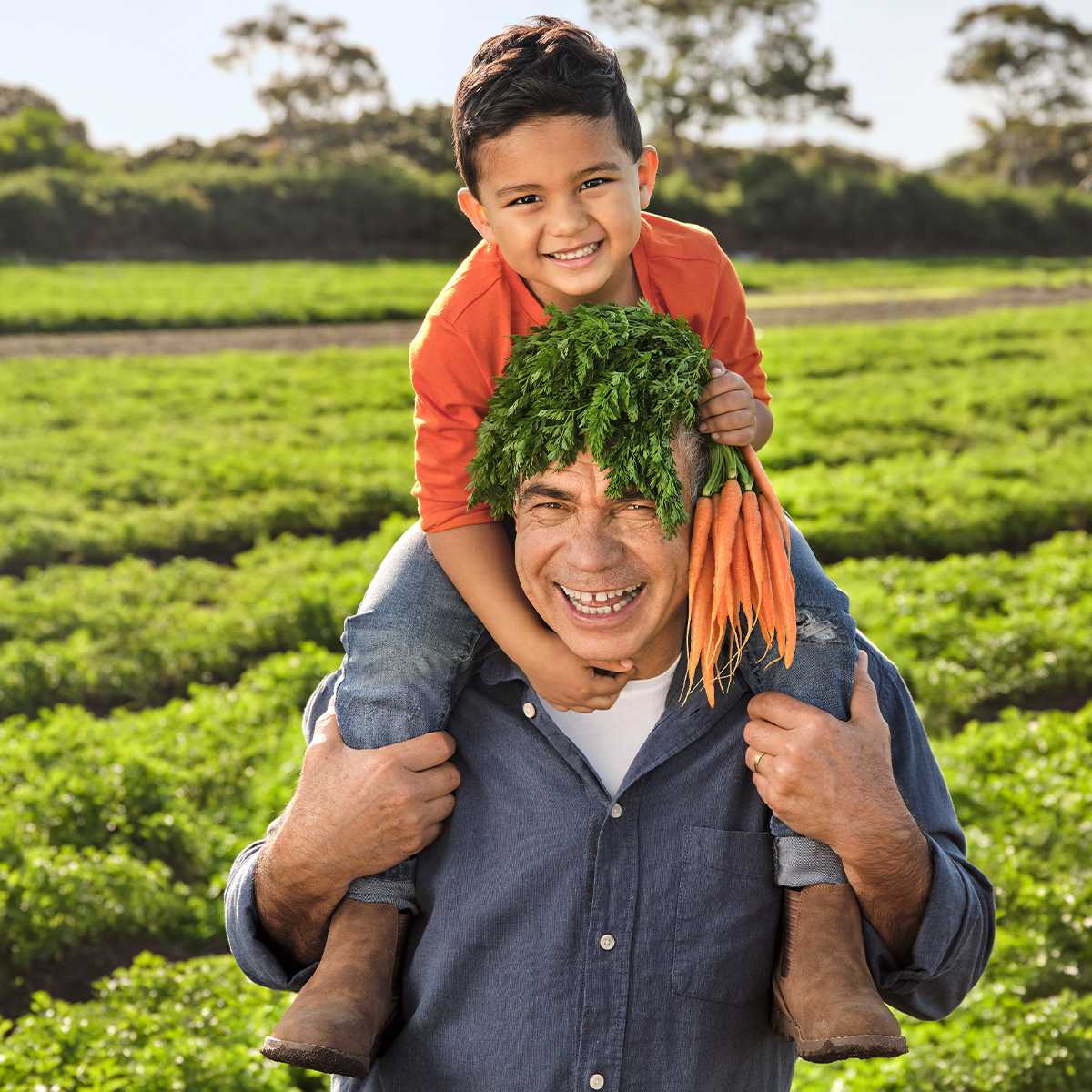 Woolworths hero image NZ 