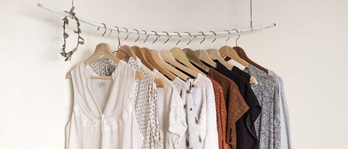 Zizu sale images 