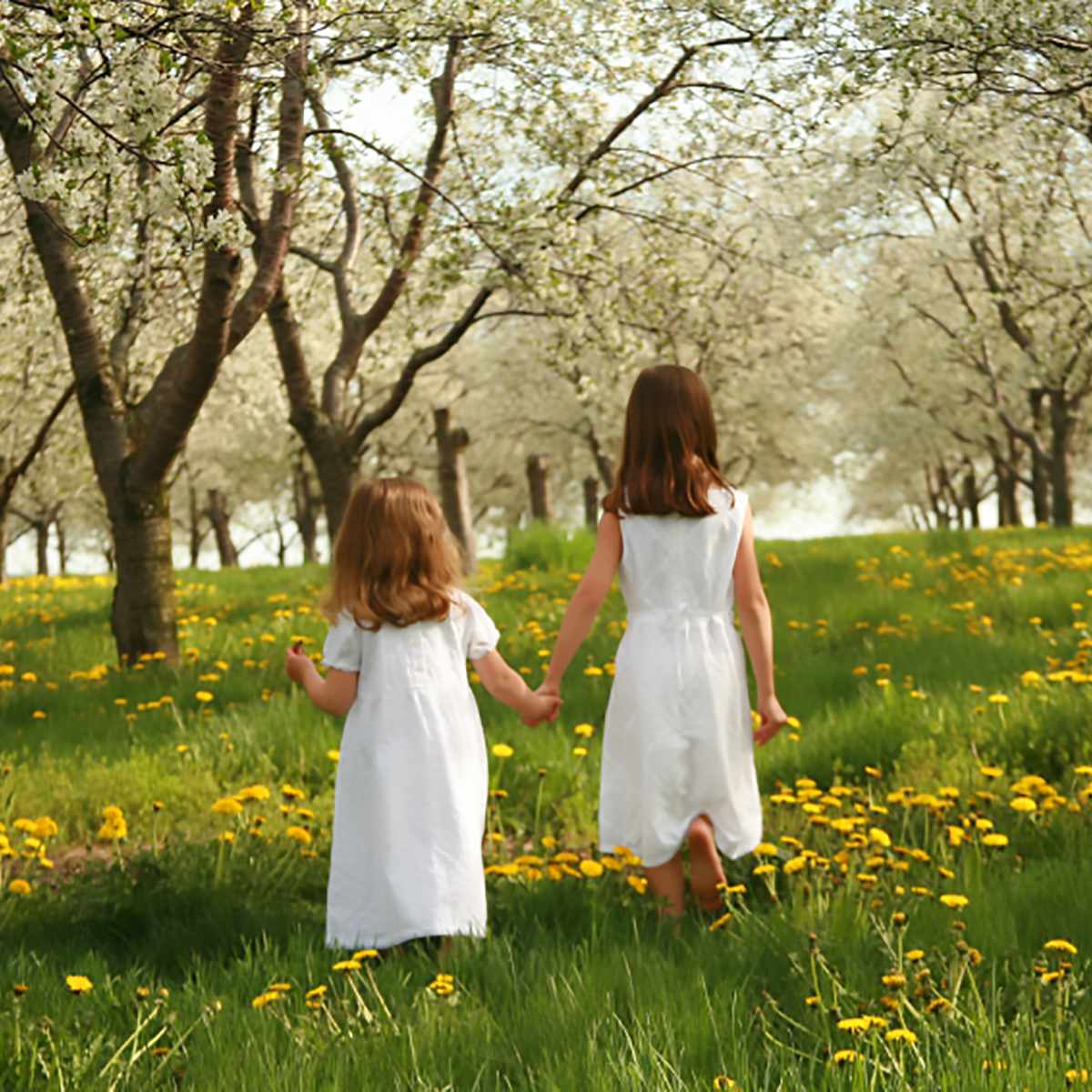Two young girls holding hands, walking through a field of flowers