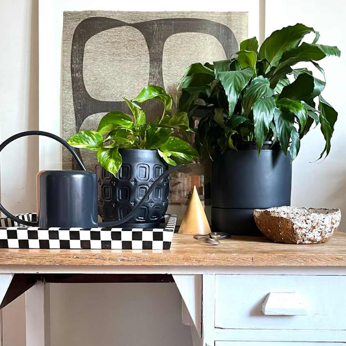 Gro Urban Oasis