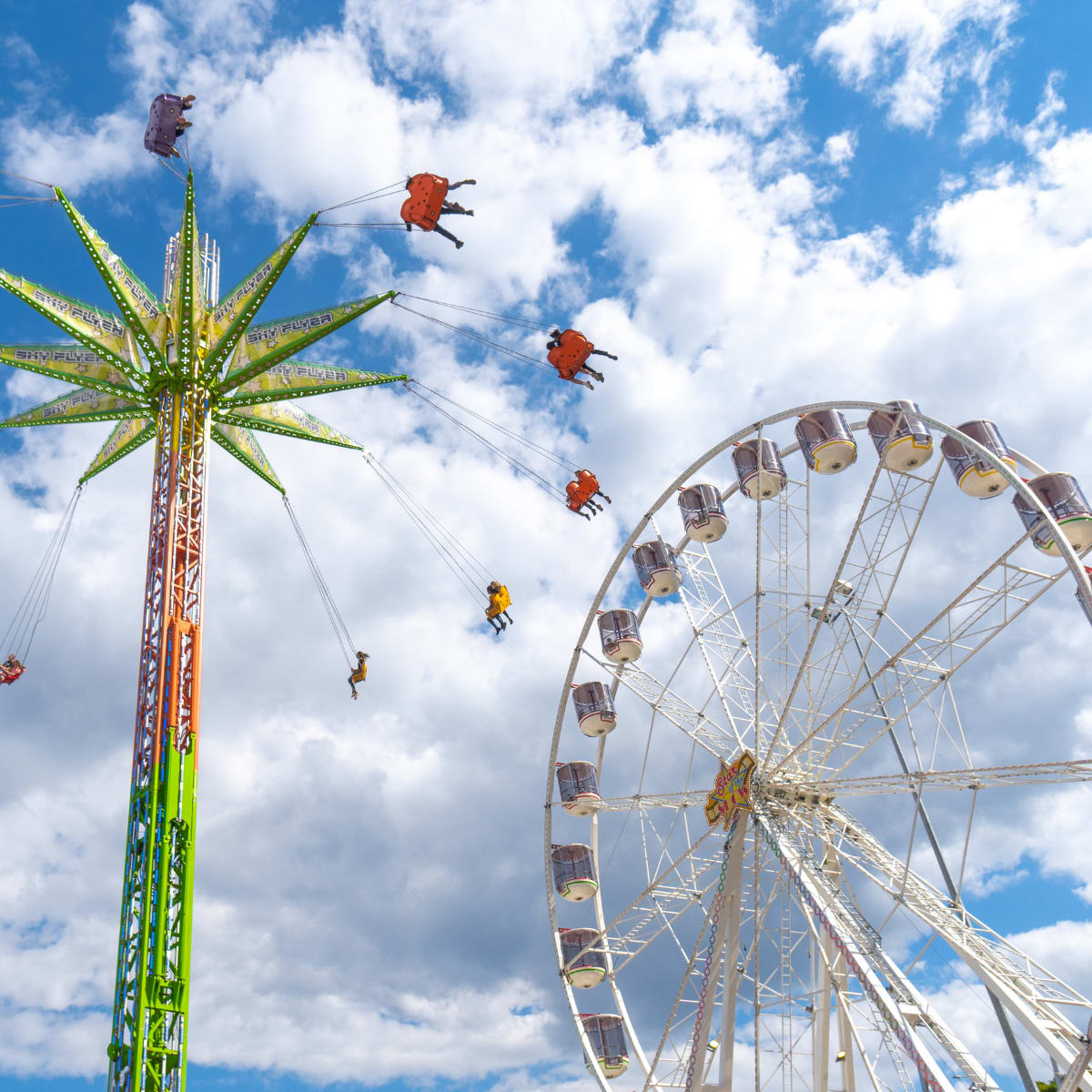 Image of ferris wheel and ride at the Queensland Royal Show