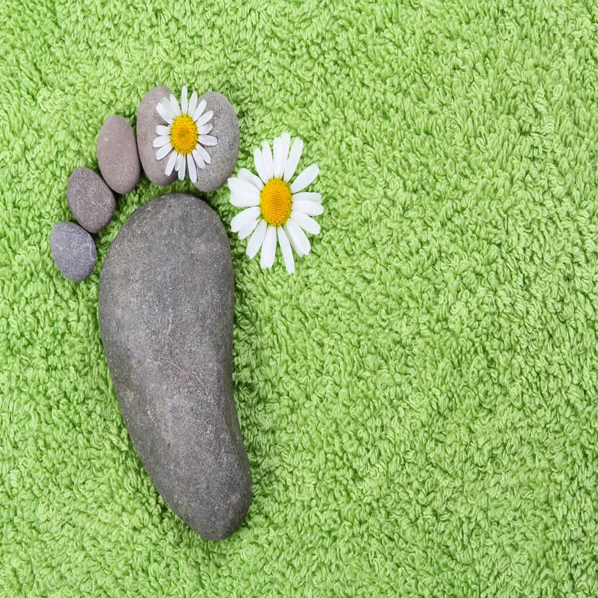 Foot Solutions Foot and Ankle Clinic 