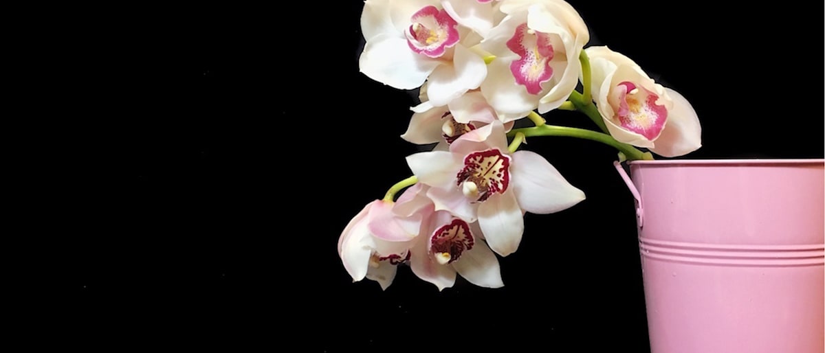 Matan Florist image