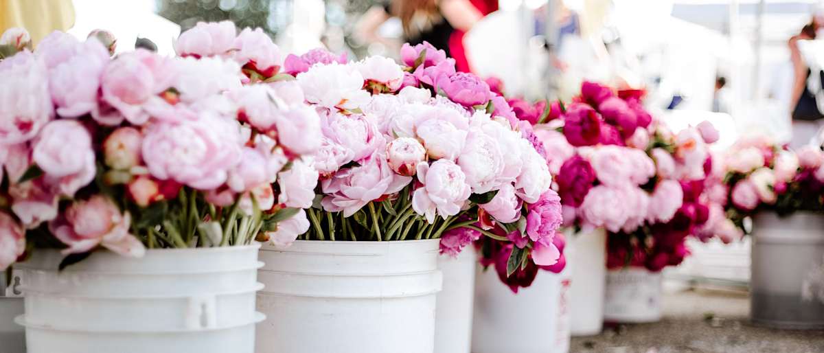 Bright Flowers