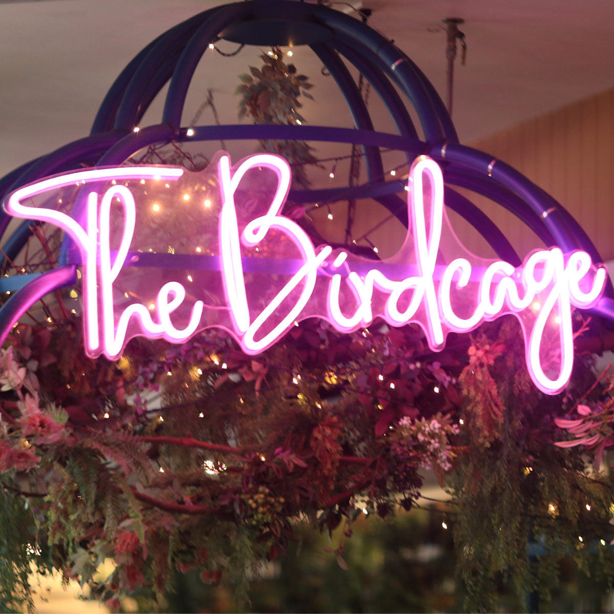 The Birdcage