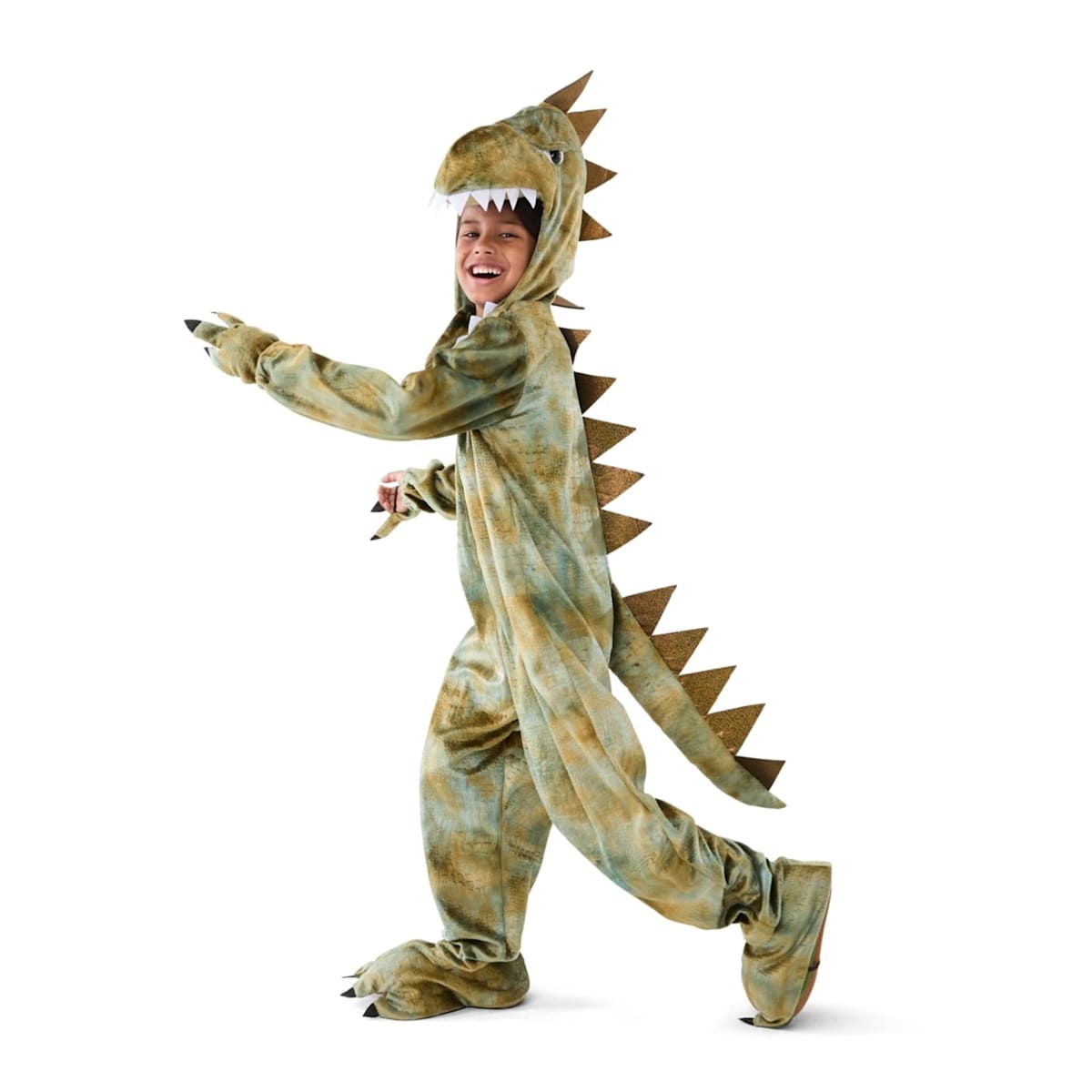 Dinosaur Costume - Kmart