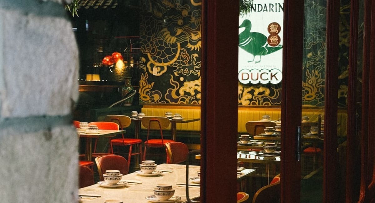 Mandarin Duck