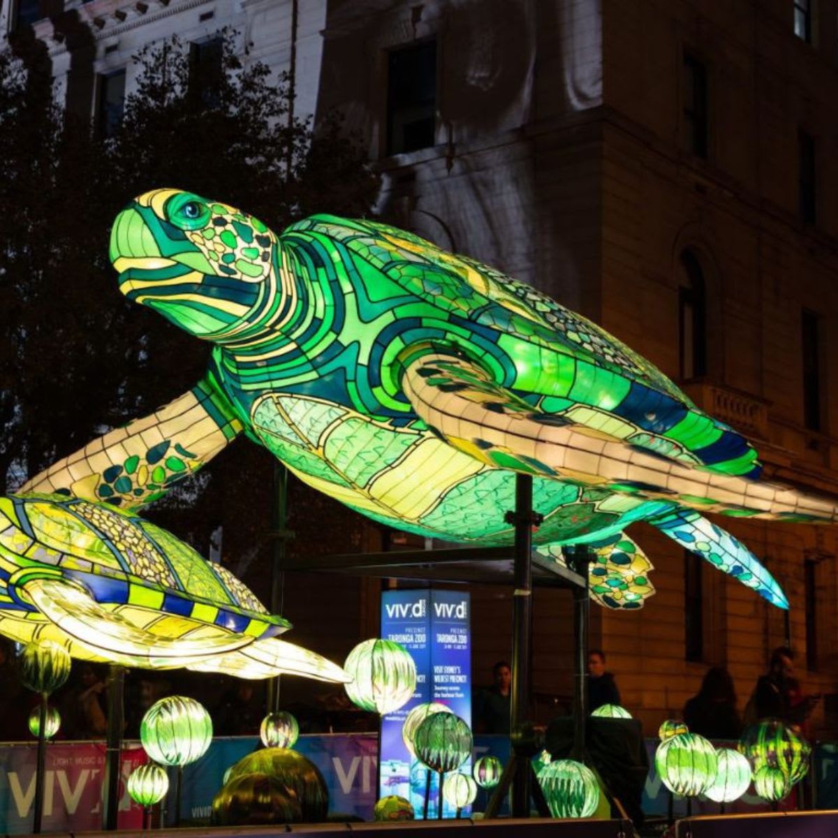 digiDirect: Light up the night at Vivid