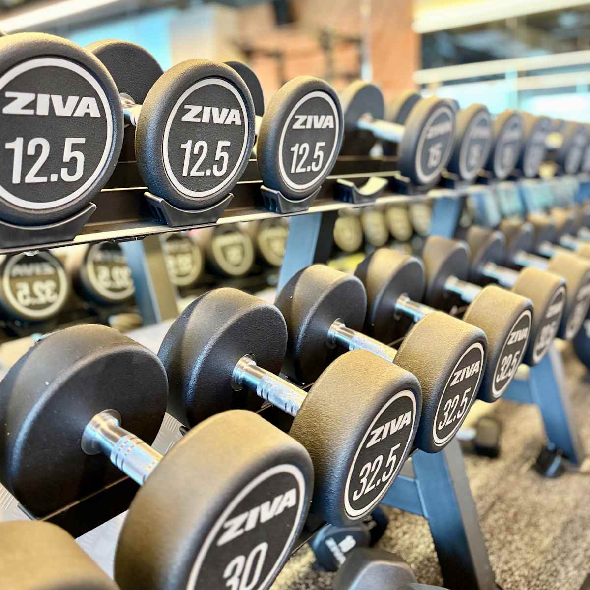 Anytime fitness North Lakes - 2025