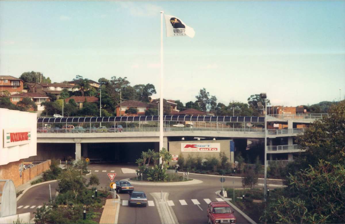 Kotara Birthday 2025
