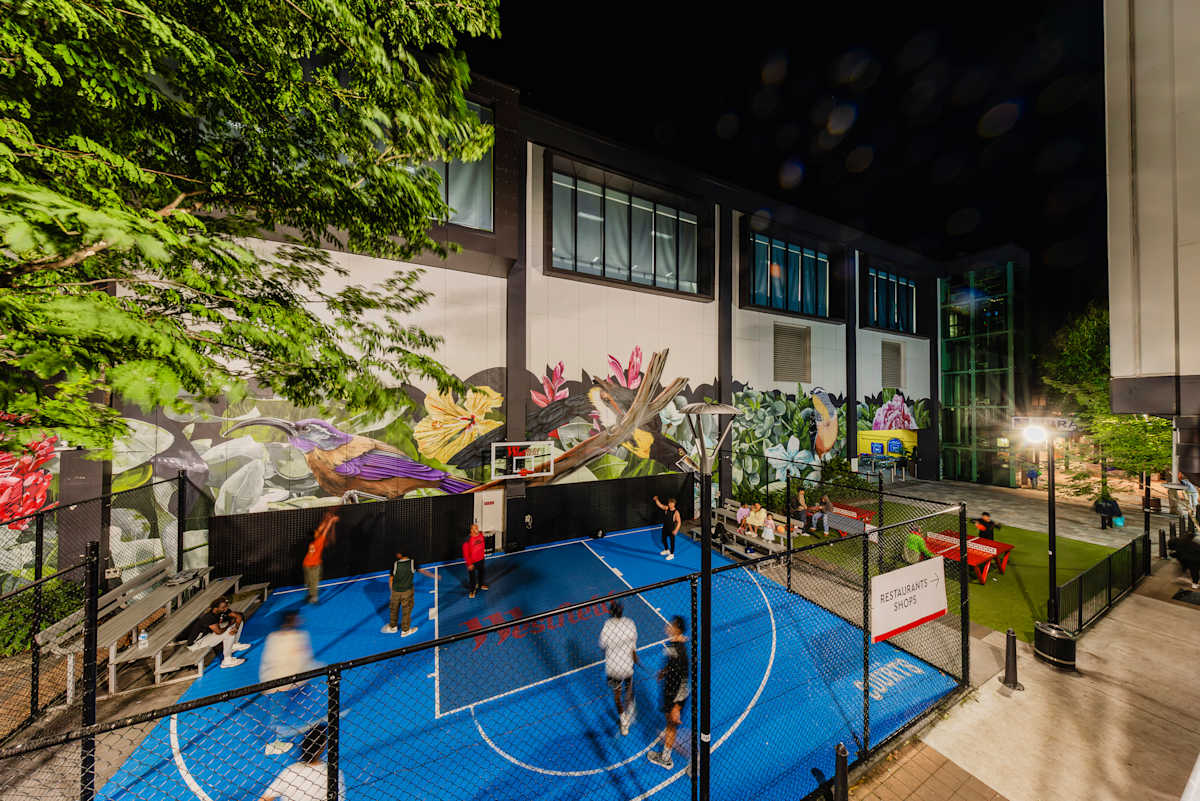 Mt Gravatt basketball