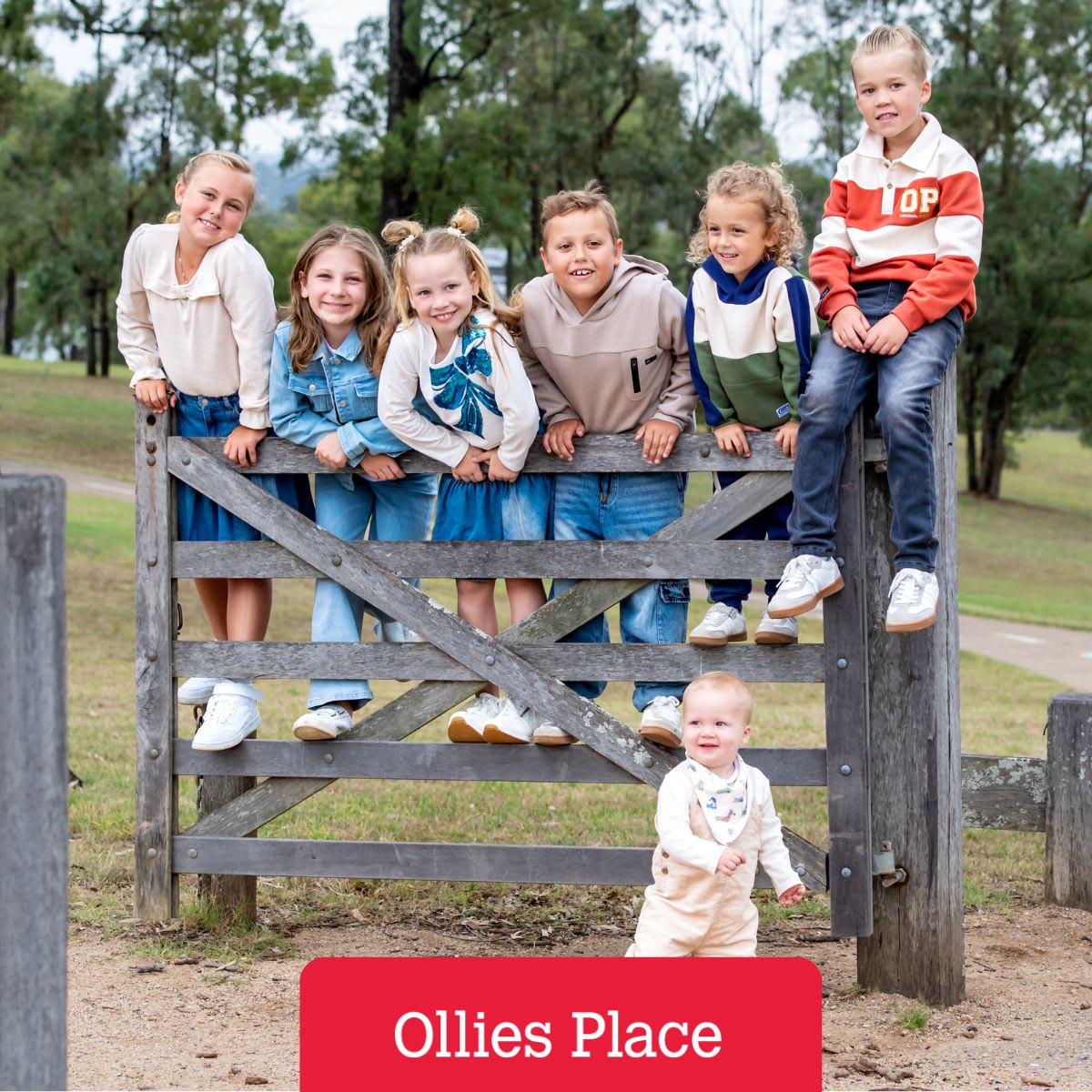 Ollies Place