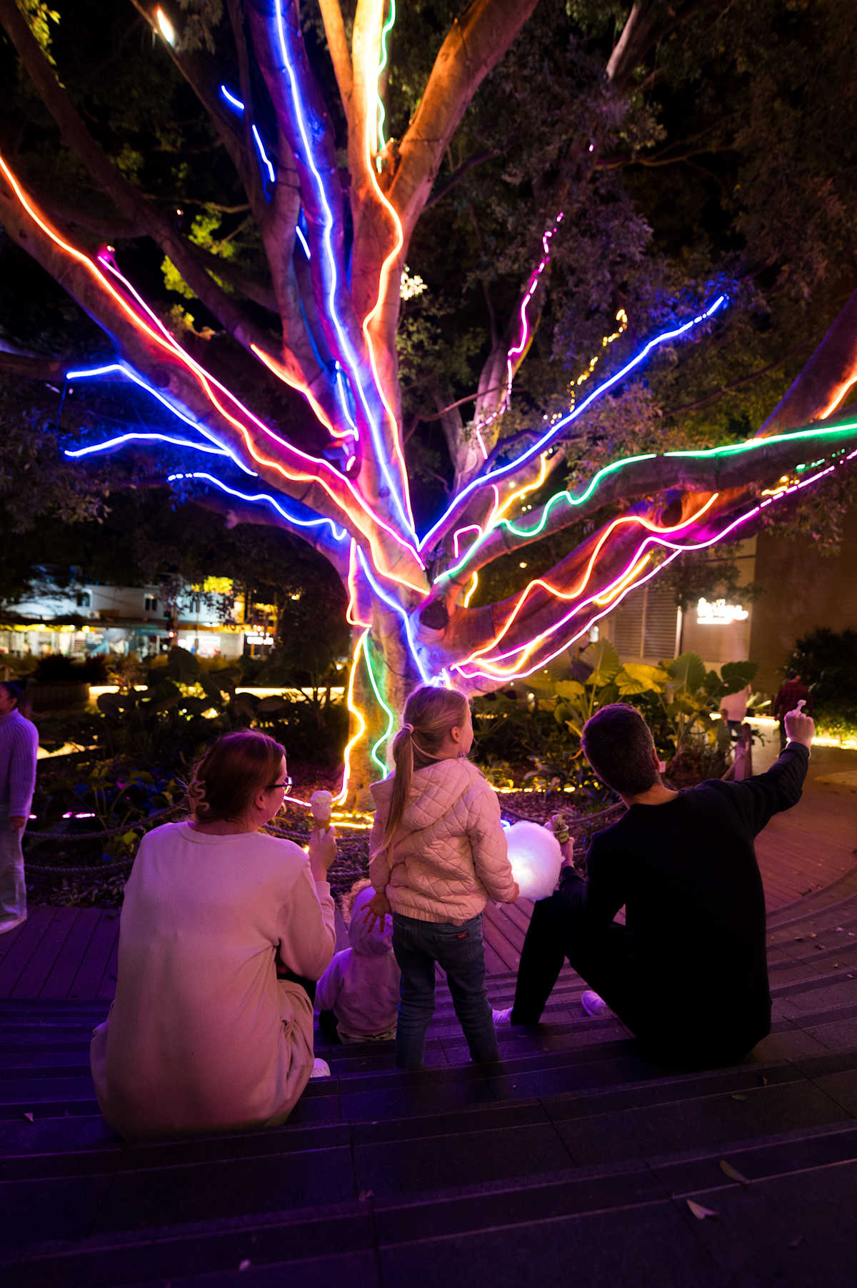 Festival of Lights - Family at Figtree Miranda