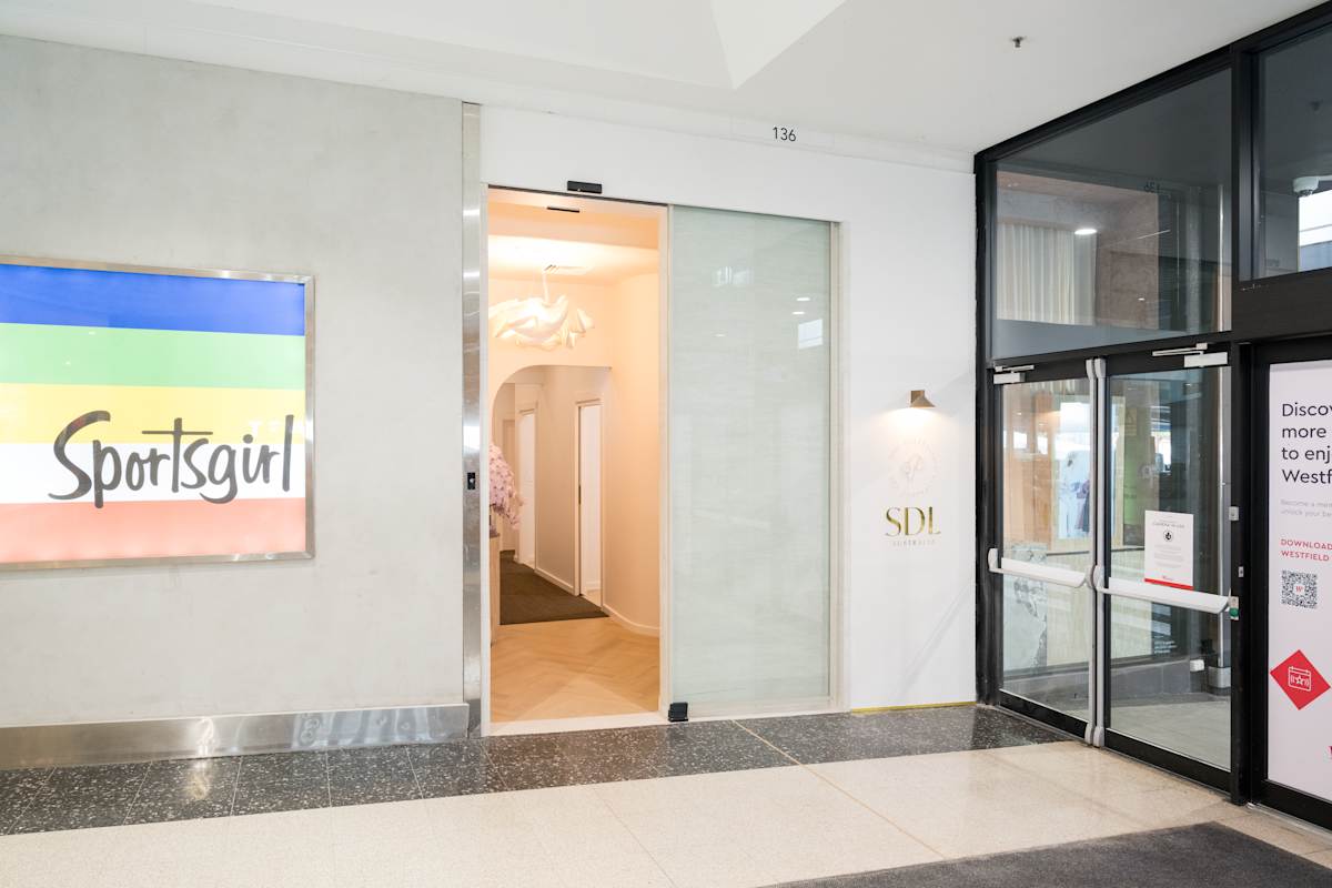 SDL - Store image
