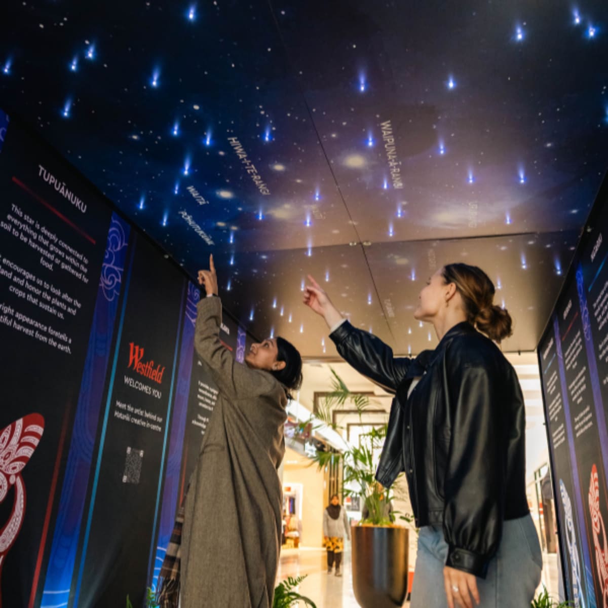 Matariki Walk