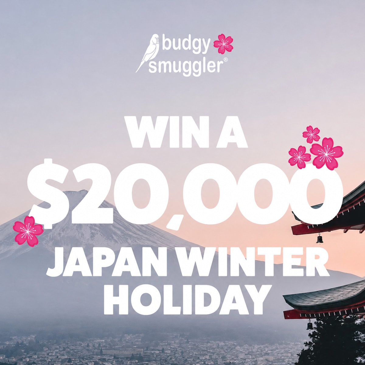 Budgy Smuggler: IN STORE ONLY!