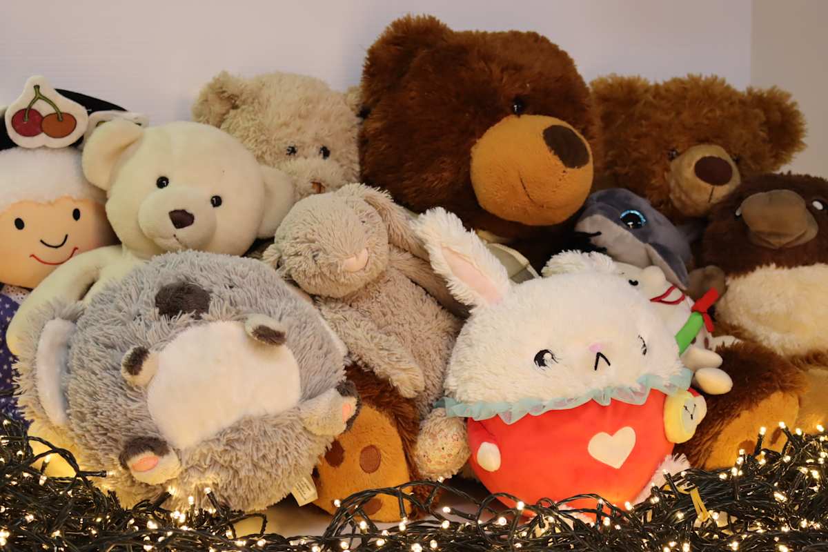 Warringah Mall Library Teddy Bear Sleepover 2025