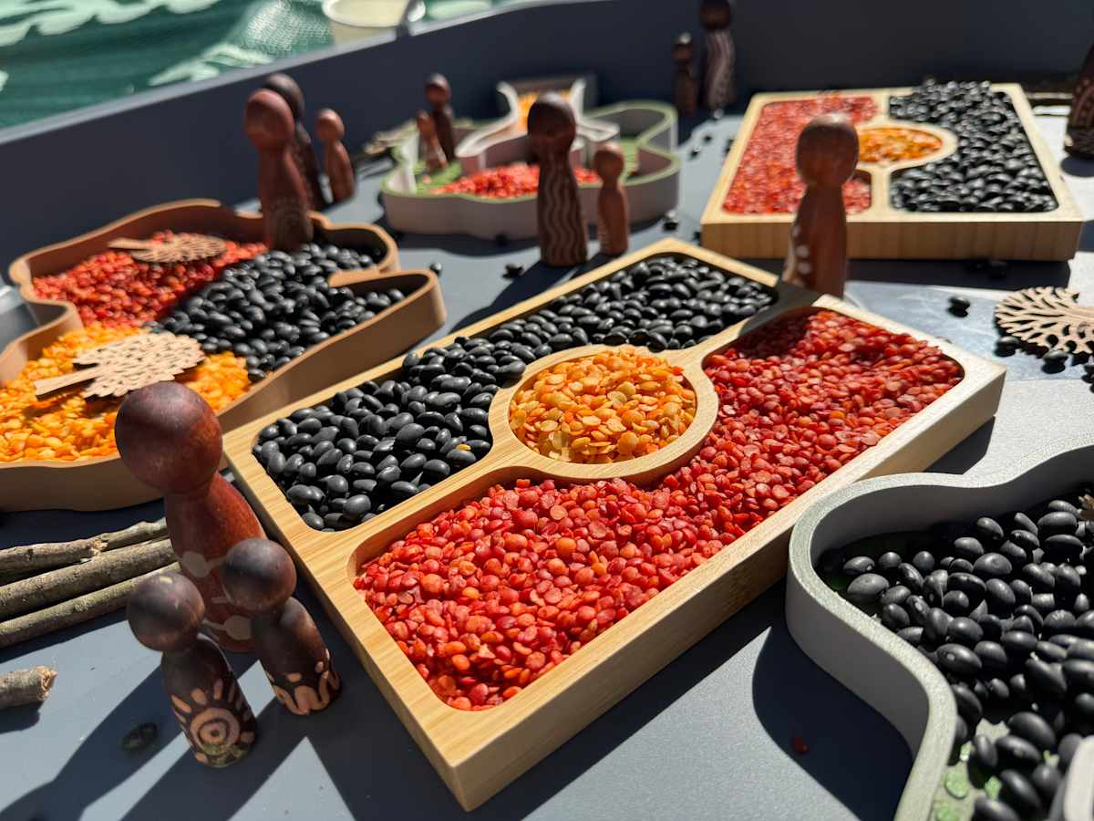 NAIDOC Sensory Barang Alliance Society