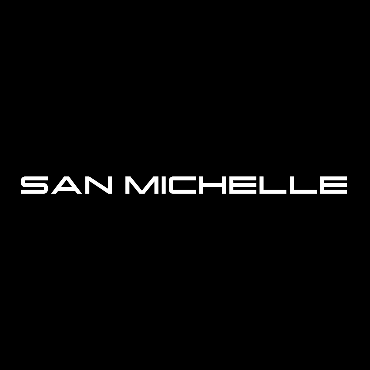 San Michelle Handbags